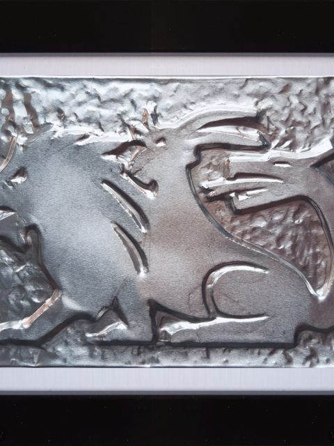 Chimera - alluminio in cornice nera cm 20 x15